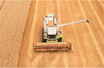 收——加大收割自动化力度，利用智能收获系统，保种保收，提产提质
