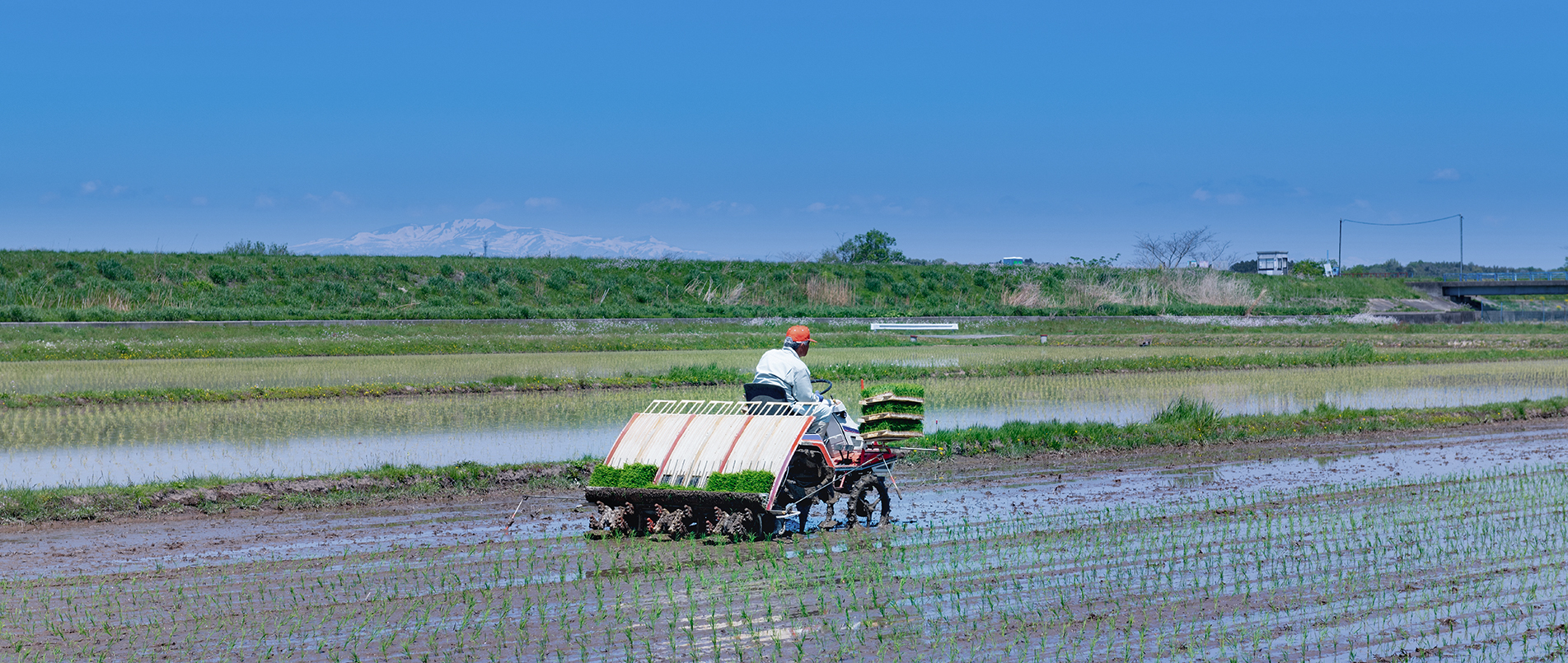 农机水田作业的“智慧大脑”——沃地泰FMA210，告别“经验种植”，开启精准高效农业之旅